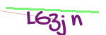 CAPTCHA verification code