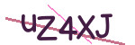 CAPTCHA verification code