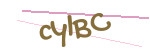 CAPTCHA verification code
