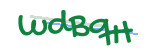 CAPTCHA verification code