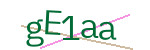 CAPTCHA verification code