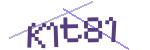 CAPTCHA verification code