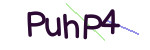 CAPTCHA verification code