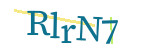 CAPTCHA verification code