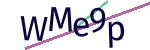 CAPTCHA verification code