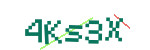 CAPTCHA verification code