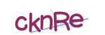 CAPTCHA verification code