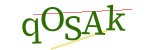 CAPTCHA verification code
