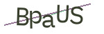CAPTCHA verification code