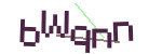 CAPTCHA verification code