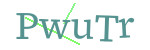 CAPTCHA verification code