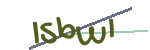 CAPTCHA verification code