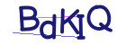 CAPTCHA verification code