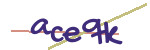 CAPTCHA verification code