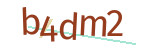 CAPTCHA verification code