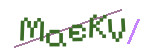 CAPTCHA verification code