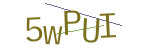 CAPTCHA verification code