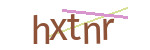 CAPTCHA verification code