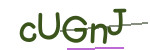 CAPTCHA verification code
