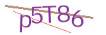 CAPTCHA verification code
