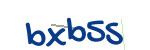 CAPTCHA verification code