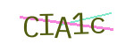 CAPTCHA verification code