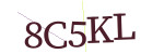 CAPTCHA verification code