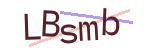 CAPTCHA verification code
