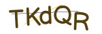 CAPTCHA verification code