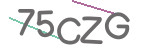 CAPTCHA verification code
