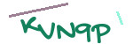 CAPTCHA verification code