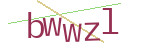 CAPTCHA verification code