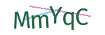 CAPTCHA verification code