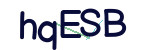 CAPTCHA verification code
