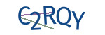 CAPTCHA verification code