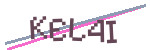 CAPTCHA verification code