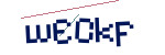 CAPTCHA verification code