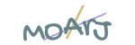 CAPTCHA verification code