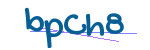 CAPTCHA verification code
