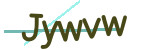 CAPTCHA verification code