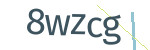 CAPTCHA verification code
