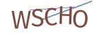 CAPTCHA verification code