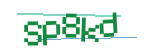 CAPTCHA verification code