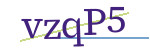 CAPTCHA verification code