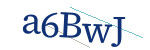 CAPTCHA verification code