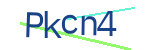 CAPTCHA verification code