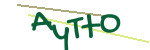 CAPTCHA verification code