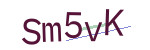 CAPTCHA verification code