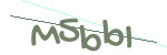 CAPTCHA verification code