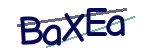 CAPTCHA verification code